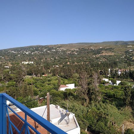 Anemone Bleu-Sea View-200M From Chora Pedestrian Apartment Ándros Екстериор снимка