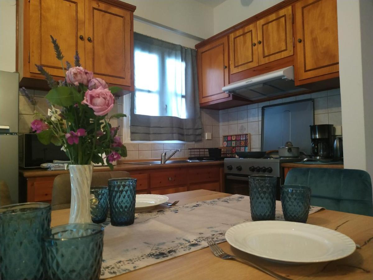 Anemone Bleu-Sea View-200M From Chora Pedestrian Apartment Ándros Екстериор снимка